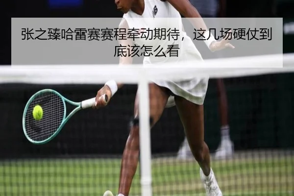 张之臻哈雷赛赛程牵动期待，这几场硬仗到底该怎么看